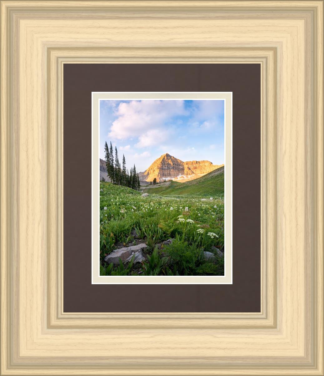 Timpanogos Meadow