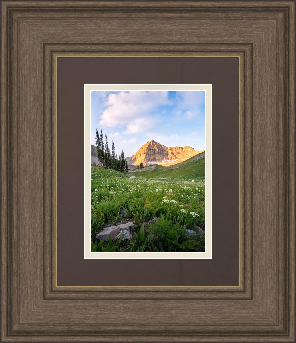 Timpanogos Meadow