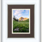 Timpanogos Meadow