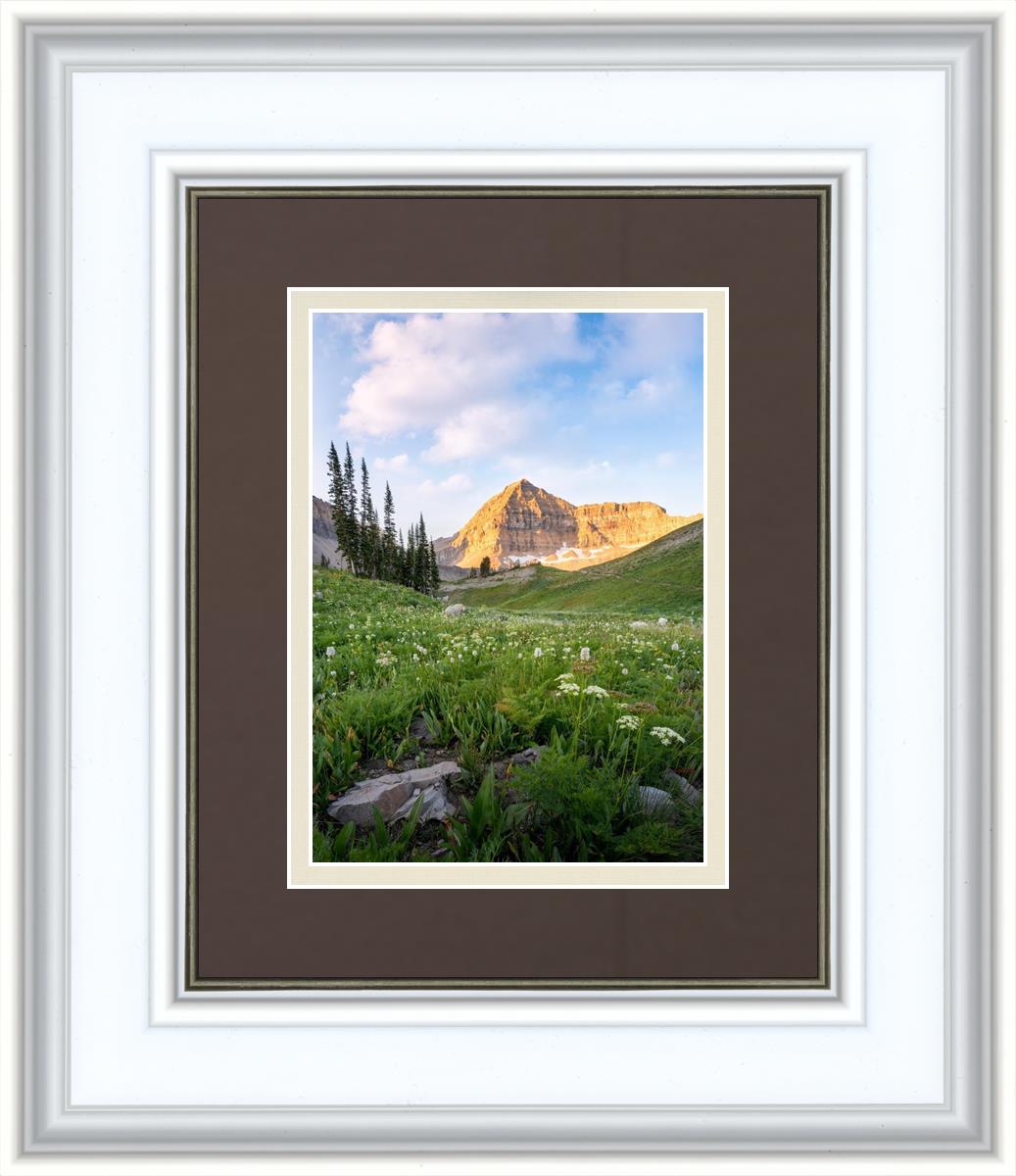 Timpanogos Meadow