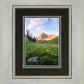 Timpanogos Meadow