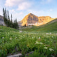 Timpanogos Meadow