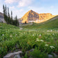 Timpanogos Meadow