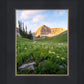 Timpanogos Meadow