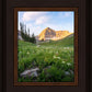 Timpanogos Meadow