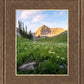 Timpanogos Meadow