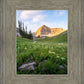 Timpanogos Meadow