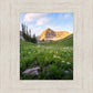 Timpanogos Meadow