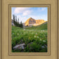 Timpanogos Meadow