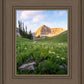 Timpanogos Meadow