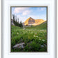 Timpanogos Meadow