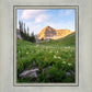 Timpanogos Meadow