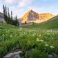 Timpanogos Meadow