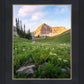 Timpanogos Meadow