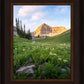 Timpanogos Meadow