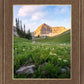 Timpanogos Meadow