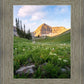 Timpanogos Meadow