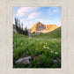 Timpanogos Meadow
