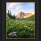 Timpanogos Meadow