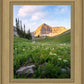 Timpanogos Meadow