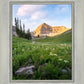 Timpanogos Meadow