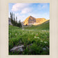 Timpanogos Meadow