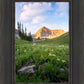 Timpanogos Meadow