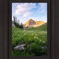 Timpanogos Meadow