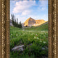 Timpanogos Meadow
