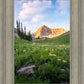 Timpanogos Meadow