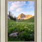 Timpanogos Meadow
