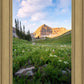 Timpanogos Meadow