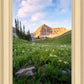 Timpanogos Meadow