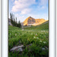 Timpanogos Meadow