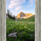 Timpanogos Meadow