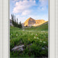 Timpanogos Meadow