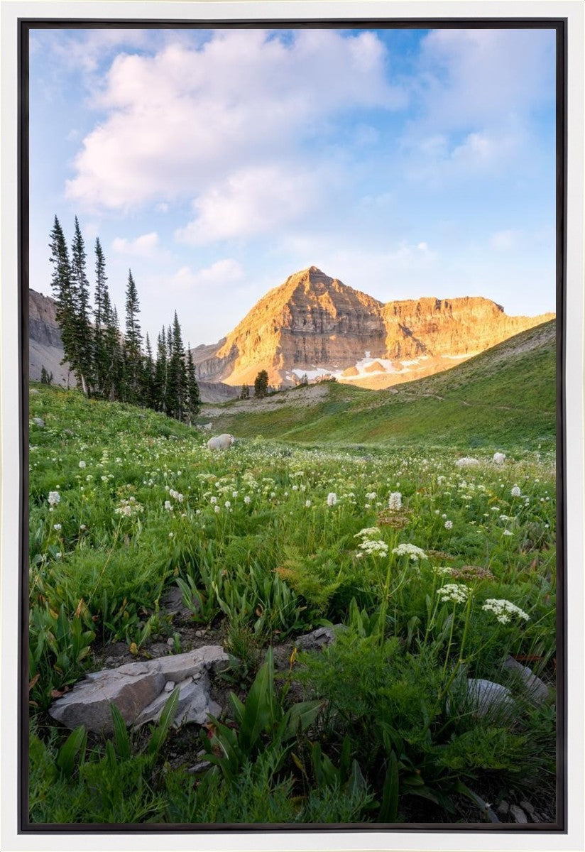 Timpanogos Meadow Gallery Wrap