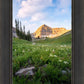 Timpanogos Meadow