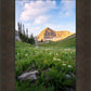 Timpanogos Meadow