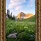 Timpanogos Meadow