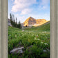 Timpanogos Meadow