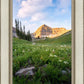 Timpanogos Meadow