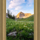 Timpanogos Meadow