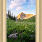 Timpanogos Meadow