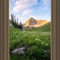 Timpanogos Meadow