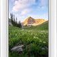 Timpanogos Meadow