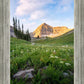 Timpanogos Meadow