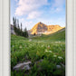 Timpanogos Meadow