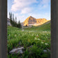 Timpanogos Meadow