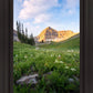 Timpanogos Meadow